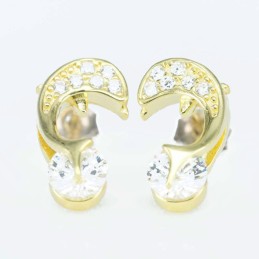 Earring Dolphin 6x13mm. Circonia  Gold