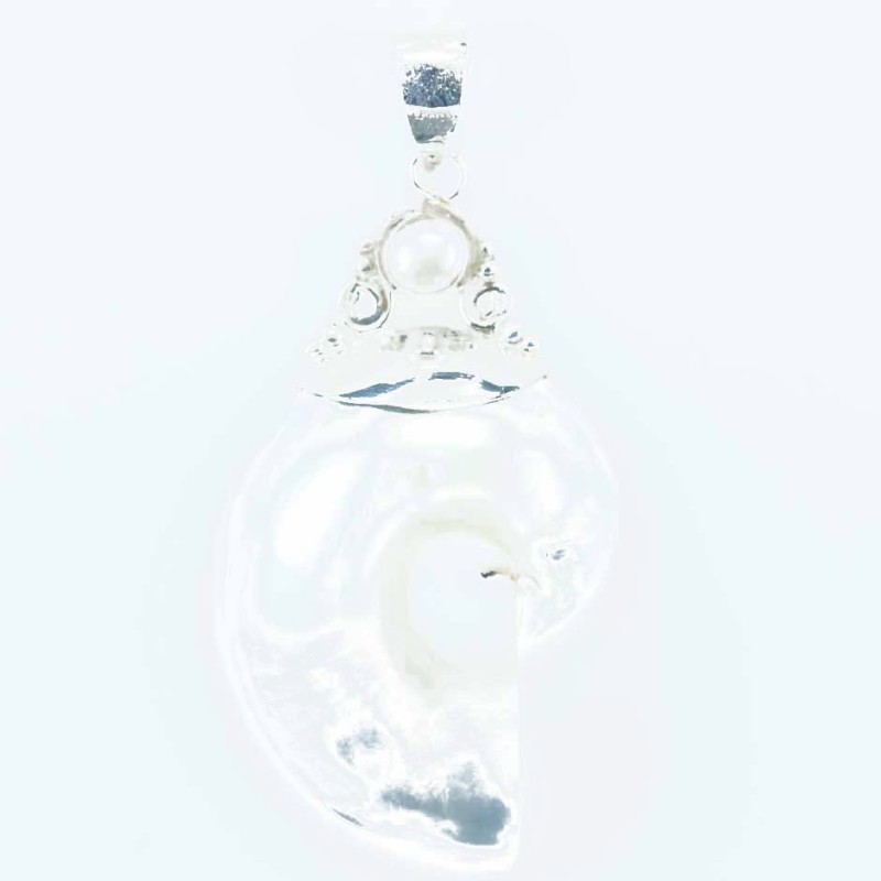 Pendant Nautilus 27x46mm. Shell