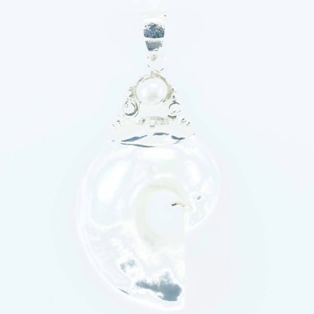Pendant Nautilus 27x46mm. Shell