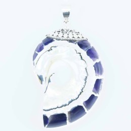Pendant Nautilus 35x51mm. Shell