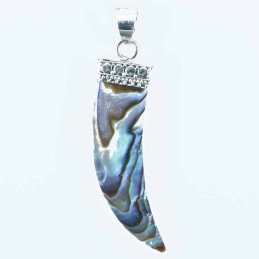 Pendant Horn 10x42mm. Abalon Shell