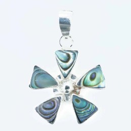 Pendant Fan 17x27mm. Abalon Shell