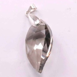 Pendant suaros.A big plant with drop plain grey co