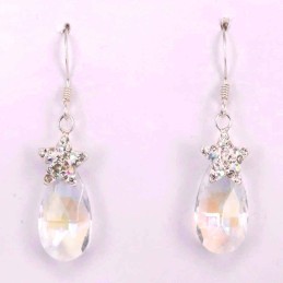 Earring suaros.A small drop with star crystal