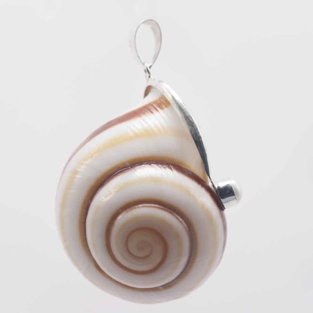 Pendant Nautilus Shell