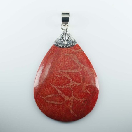 Pendant Drop Coral