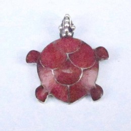 Pend Turtle Coral