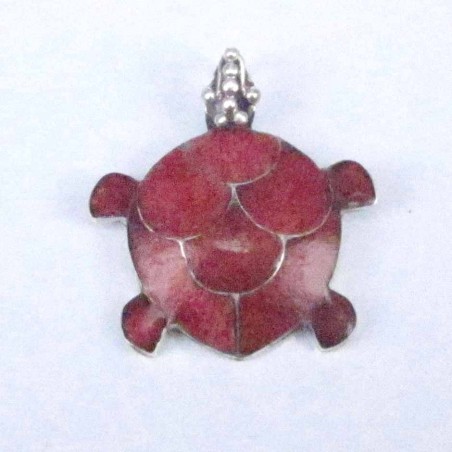Pend Turtle Coral