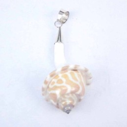 Pend. Spital Cating Shell