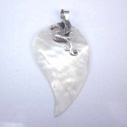 Pend. Drop MOP Shell