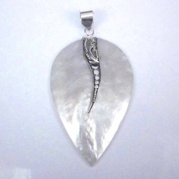 Pend. Drop MOP Shell