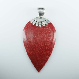 Pend Drop Coral