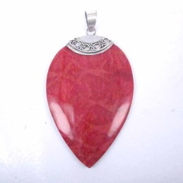 Pendant Drop Coral