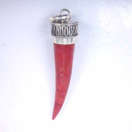 Pendant Horn Coral