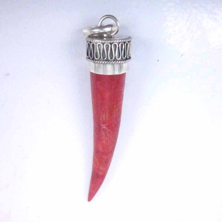 Pendant Horn Coral
