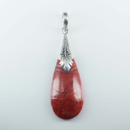 Pendant Drop Coral