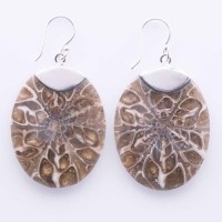 Earrings Mix Shells