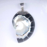 Pendants Nautilus