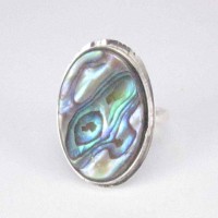 Rings Abalon Shells