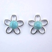Turquoise Stone