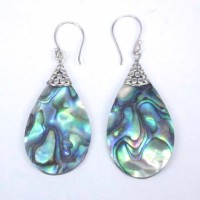 Earrings Abalon Shells