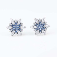 Circonia Earrings